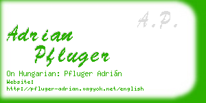 adrian pfluger business card