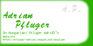 adrian pfluger business card